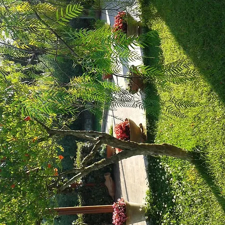 Apart Otel Ambrosia San Marco di Castellabate