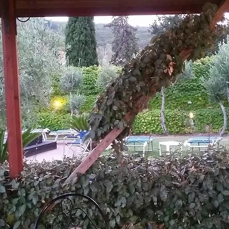 Ambrosia